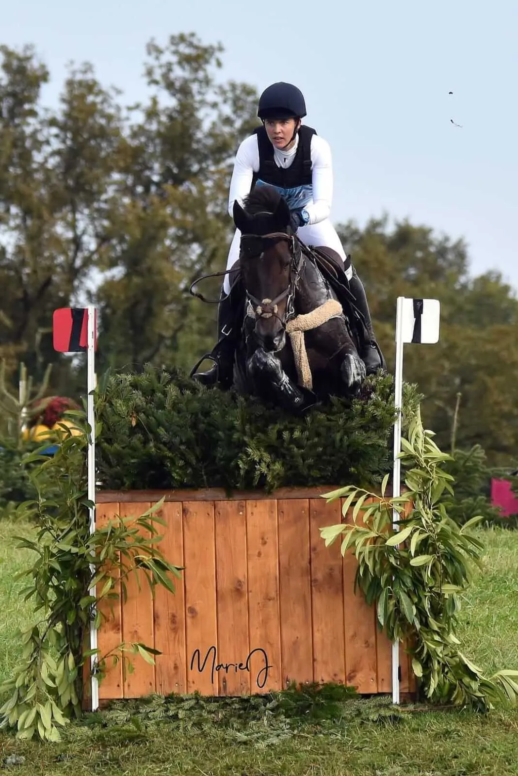 http://Equitation