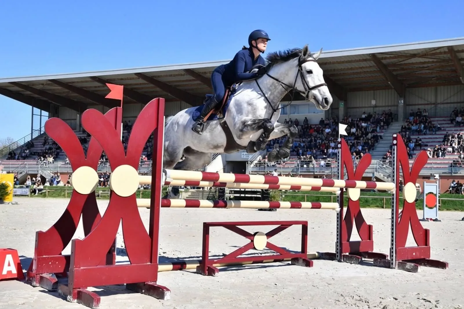 L’équitation